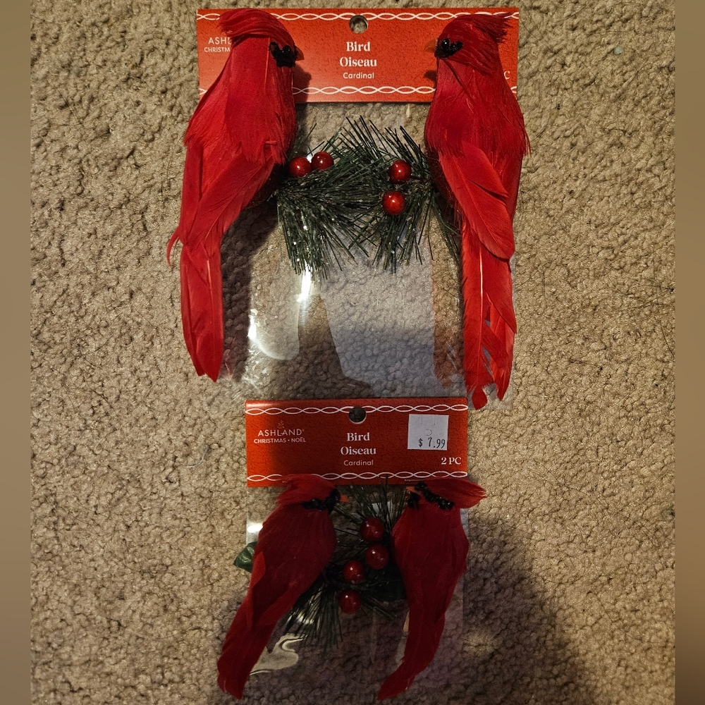 Ashland Set Of 4 Festive Red Cardinal Ornament Pair